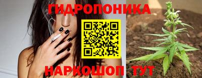 сатива Краснознаменск