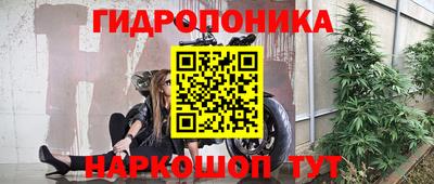 сатива Краснознаменск