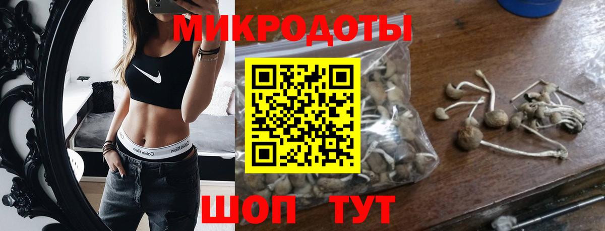 цена наркотик  Галлюциногенные грибы Magic Shrooms  Вход с VPN  Каменск-Уральский 